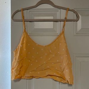 Flynn skye crop top